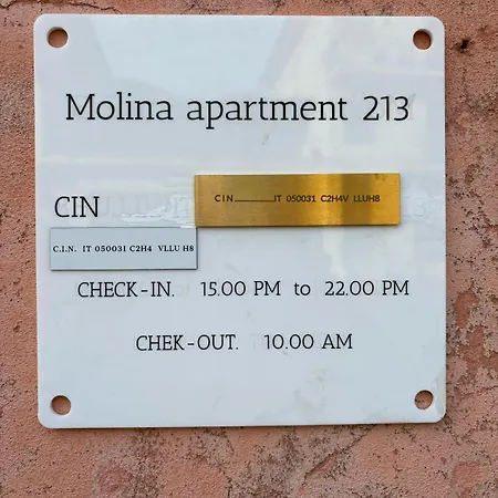 Molina 213 *